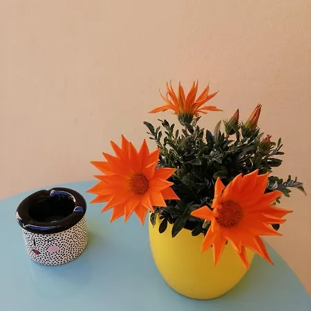 بيت ضيافة Civico In Centro Palmas