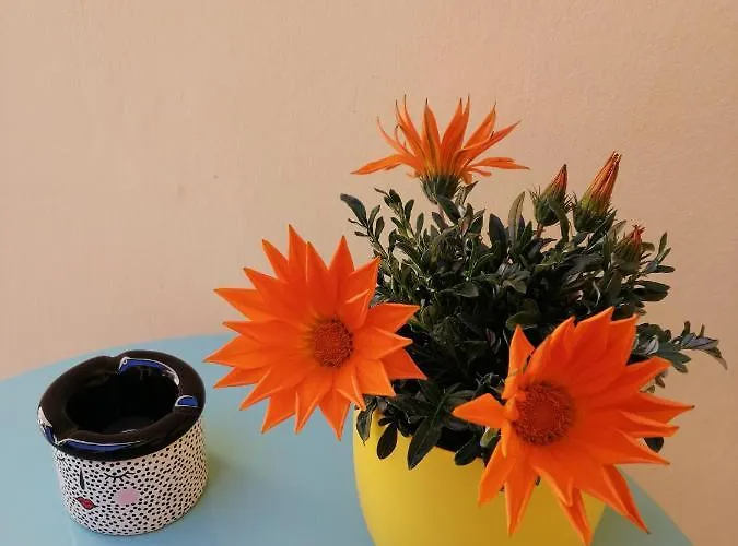 Guest house Civico In Centro Palmas